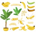 Banana Flat Icon Set