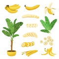 Banana Flat Icons Collection
