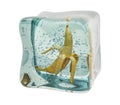 Banana frozen in ice cube, 3D rendering