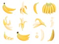 Banana fruit. Appetizing dessert food eating vector cartoon pictures