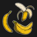 Banana fruit, bunch. Royalty Free Stock Photo