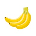 Banana fruit flat design isolated on white background cartoon vector illustration