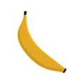 Banana fruit flat style icon vector design Royalty Free Stock Photo