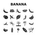 banana fruit food yellow white icons set vector Royalty Free Stock Photo