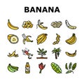 banana fruit food yellow white icons set vector Royalty Free Stock Photo