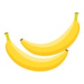 Banana fruit icon cartoon vector. Peel bunch