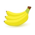 Banana fruit icon. Modern simple flat vegetarian sign