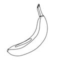 Banana fruit isolated on white background in line art style, doodle and Lines. Vector illustration drawn by hands in one Royalty Free Stock Photo