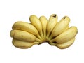 Banana fruit one bunch yellow Royalty Free Stock Photo