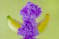 A banana fruit with partial focus of dissolving purple poster color in water