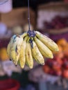 Banana Fruit on sale in the market Patuli Floating Market, Kolkata, India