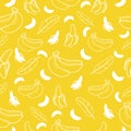 Banana fruit seamless pattern background vector format