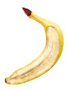Banana fruit slice Royalty Free Stock Photo
