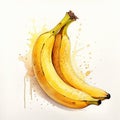 Banana fruit Water color style