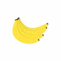 Banana fruits icon flat style design vector illustration. Bunches of fresh banana fruits isolated on white background. Healthy Royalty Free Stock Photo