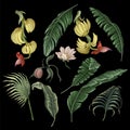 Banana fruits and leaves isolated. Vector.