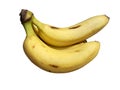 Banana fruits yellow isolated Royalty Free Stock Photo