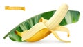 Banana on green leaf. Fresh fruit. 3d vector icon