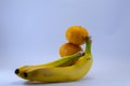 Banana and group of tangerines, mandarins isolated over white Royalty Free Stock Photo