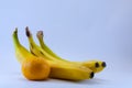 Banana and group of tangerines, mandarins isolated over white Royalty Free Stock Photo