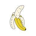 Banana half-peeled drawn outline.Fruit in the Doodle style .Banana isolated on a white background.Vector illustration Royalty Free Stock Photo