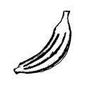 Banana sketch. Banana icon hand drawn in doodle style on white background Royalty Free Stock Photo