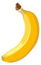 Banana icon. Yellow tropical fruit. Sweet snack