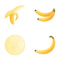 Banana icons set cartoon vector. Ripe exotic fruit