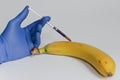 Banana injected with pesticides needle syringe