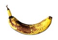 Banana isolated on a white background.