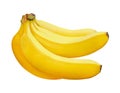 Banana isolated on white background, clipping path included Royalty Free Stock Photo