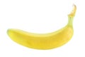 Banana ripe isolated on white background. Quality macro photo for your project