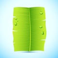 Banana Leaf Invitation Letter Royalty Free Stock Photo