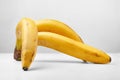 Banana on a light background. Three ripe yellow bananas. Bunch of bananas on a light surface. Exotic, tropical fruits. Royalty Free Stock Photo