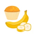 Banana muffin. Vector cartoon illustration of fresh cupcake