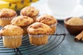 Banana muffins on cooling rack