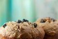 Banana Nut Muffin Close Up Served With Coffee For Breakfast On V Royalty Free Stock Photo