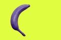 Banana is painted with purple paint on a yellow background. Horizontal photo, close-up. The idea is to be unique, individual, Royalty Free Stock Photo