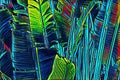 Banana palm leaf texture. Neon color leaves digital illustration. Tropical forest abstraction. Banana palm foliage