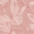 Banana palm tree leaves seamless pattern texture. Copper gold shiny glow outline. Pink background.