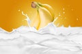Milk Splash With Various Fruits Royalty Free Stock Photo