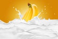 Milk Splash With Various Fruits Royalty Free Stock Photo
