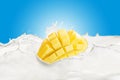 Milk Splash With Various Fruits Royalty Free Stock Photo