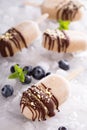 Banana and peanut butter popsicles with chocolate Royalty Free Stock Photo