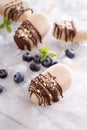 Banana and peanut butter popsicles with chocolate Royalty Free Stock Photo