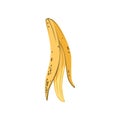 Banana peel, organic garbage, utilize waste concept vector Illustration on a white background