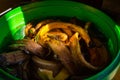 Banana peel soaked in water close-up. Banana peel tincture for fertilizing and plant nutrition. Preparing homemade fertilizer for