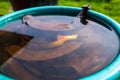 Banana peel soaked in water, close-up. Preparation of tincture for nourishing and fertilizing plants at home