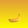 Banana place on the floor with wall illustration minimal art