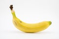 Banana or plantain isolated on white background. Potassium and magnesium